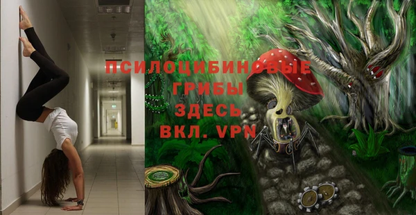 ешки Алзамай