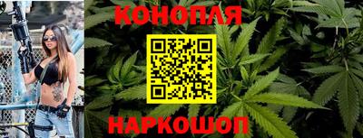 Альфа ПВП Пенза
