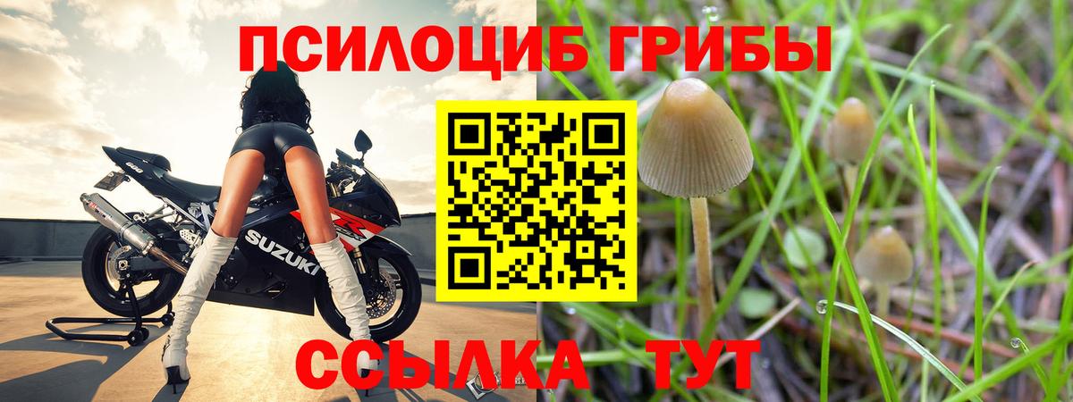 Балашов  магазин  наркотиков  Вход с VPN  Галлюциногенные грибы ЛСД  Галлюциногенные грибы ЛСД 
